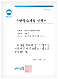 Certificate of Promising SME